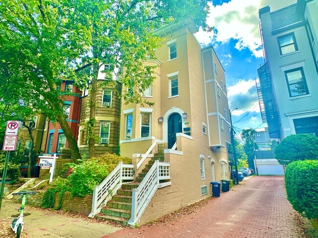 Primary Photo - JUST RENOVATED - Astonishing Adams Morgan ...