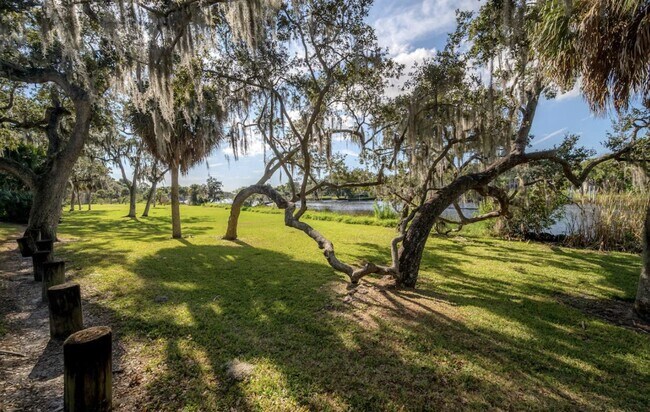 Building Photo - Live Wilder: Historic Charm Steps from Tampa’s Trendiest Restaurants