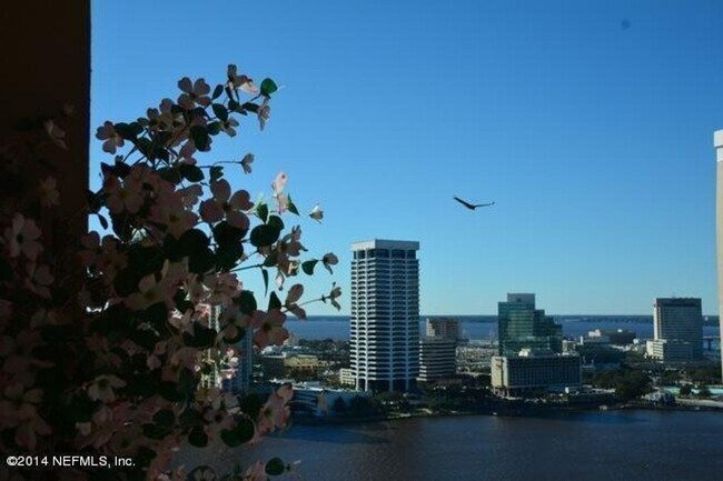Building Photo - St Johns River Views!
