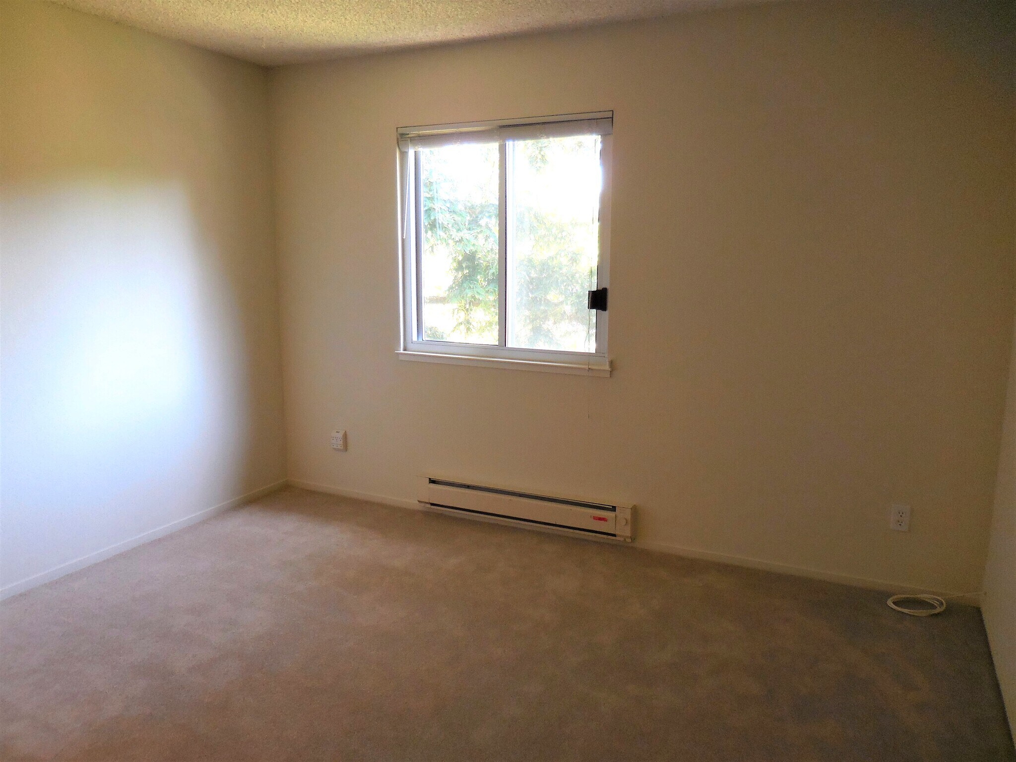 Building Photo - 405 Piccadilly Pl