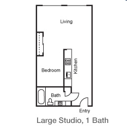 Large Studio- 0BR/1BA - The Cedars