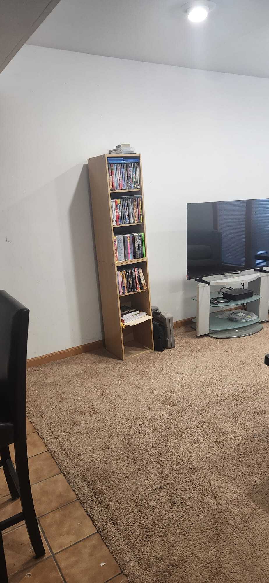 Downstairs living room area - 2116 Thaler Ave