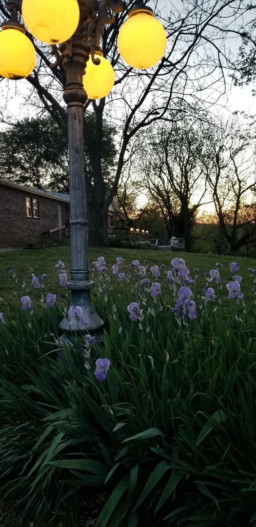 Building Photo - 4 bedroom 2 bath home, 2 car garage, SECLUDED AND PRIVATE, South FAY, 4 acres