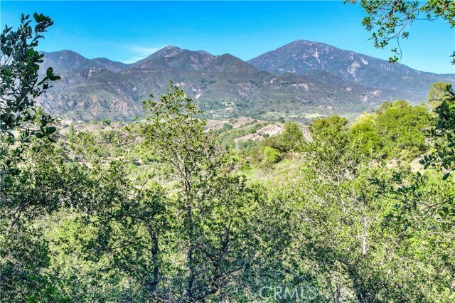 Building Photo - 181 Montana Del Lago Dr
