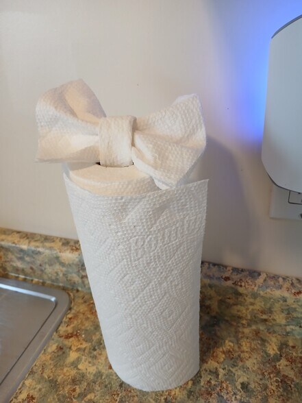 Kitchen with starter paper towels and dish saop. - 56 Fulton St