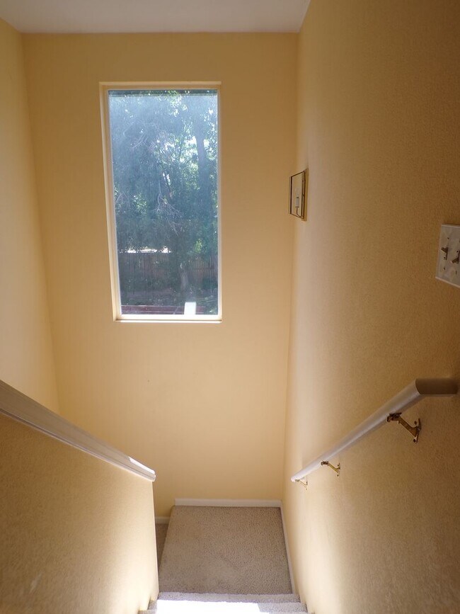 Building Photo - Cozy Hidden Gem in the Heart of Lakewood! ...