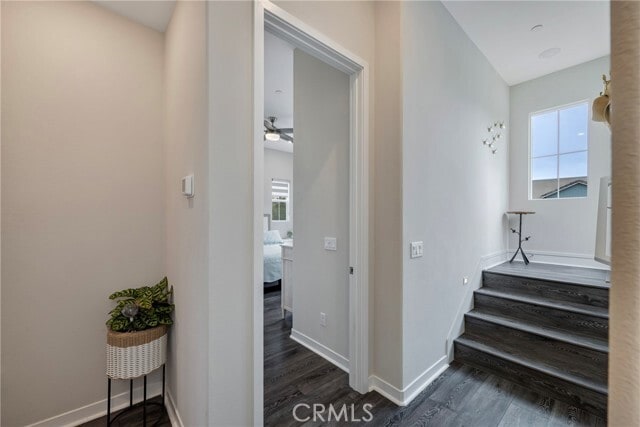 Building Photo - 6 Pony Ct