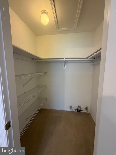 Building Photo - 114 Andover Pl