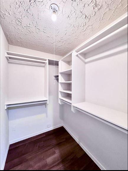 Building Photo - 9110 Gustine Ln