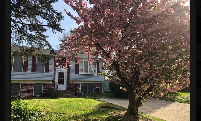Primary Photo - 4821 Fox St