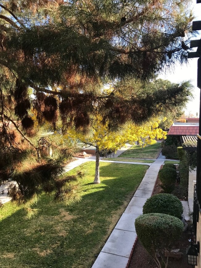 Building Photo - BEAUTIFUL 2 BEDS 1 1/2  BATHROOM APARTMENT PLUS 1 CAR GARAGE MLOVE IN SPECIAL