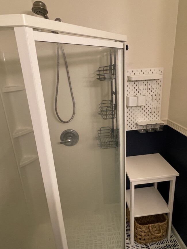 basement bathroom - 300 Southridge Pl