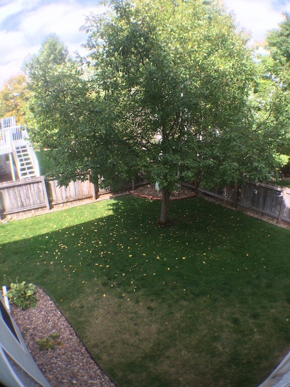 Building Photo - Fabulous 4BR home in the heart of Broomfield