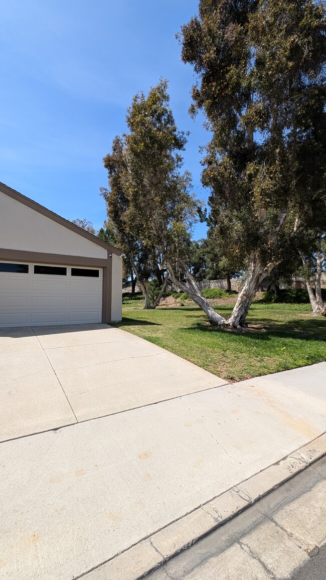 Building Photo - 42 Almond Tree Ln