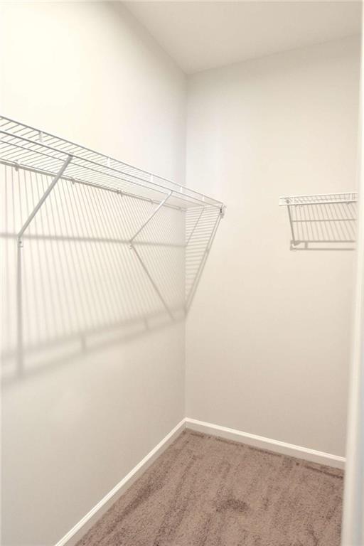 Building Photo - 809 Cameron Trl