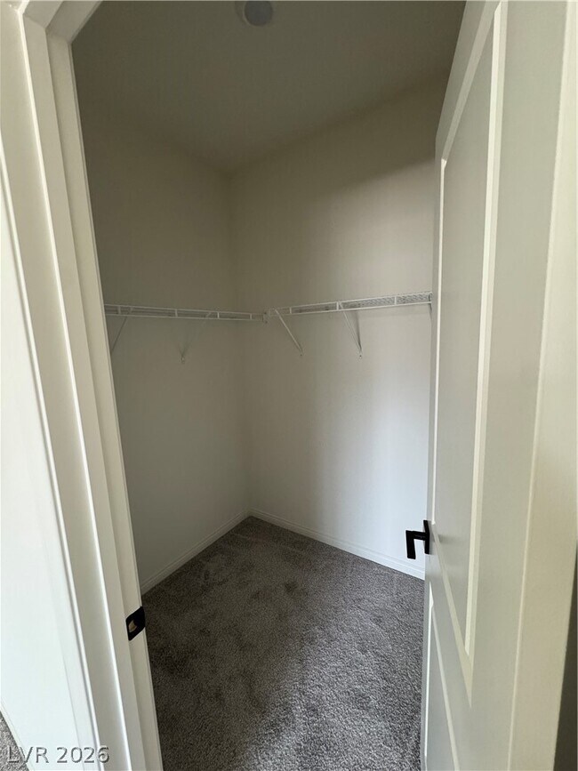 Building Photo - 1505 Little Penguin St