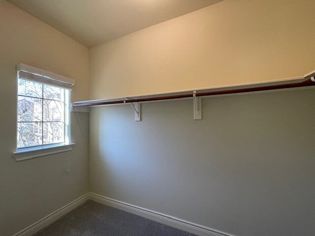 Building Photo - 9103 Creekstone Lake Dr