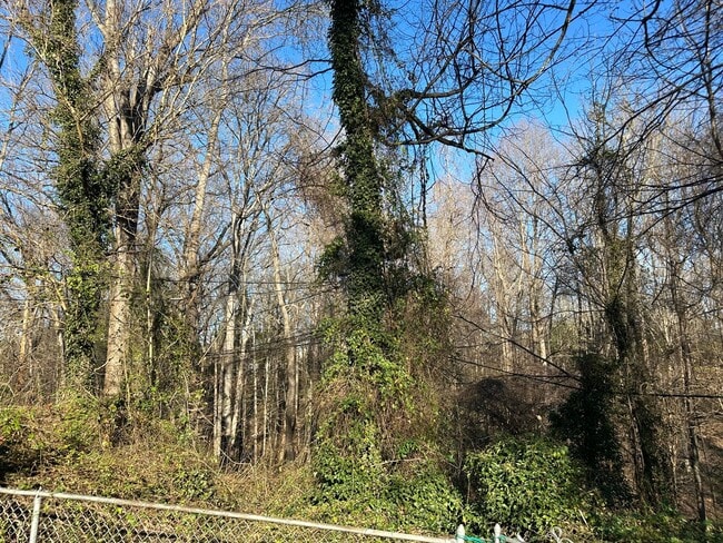 Building Photo - 3 bedroom house in Fulton Hill! Laundry, Central HVAC All electric, big fenced yard, hardwoods