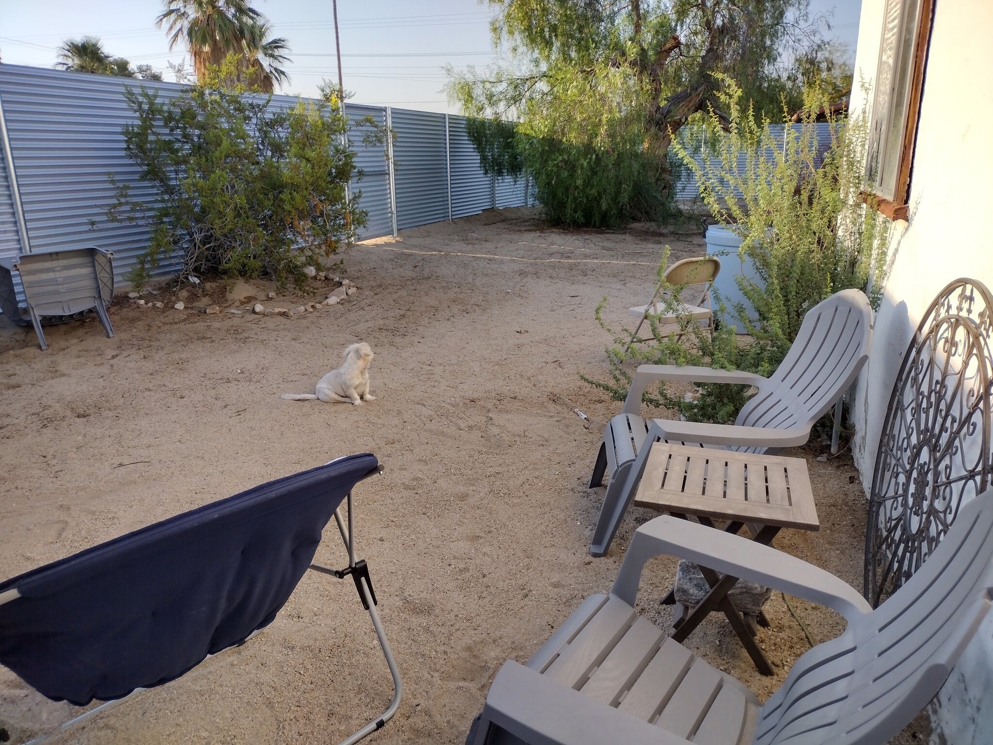 Building Photo - 6429 Tamarisk Ave