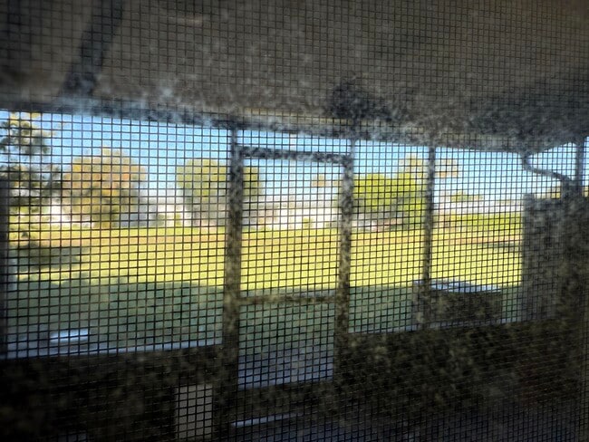 Building Photo - 2103 Wharf Ln