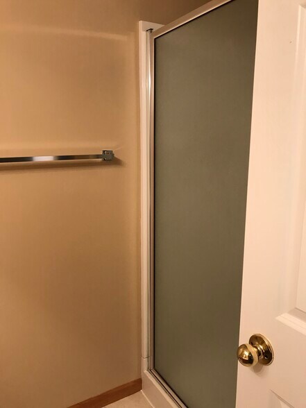 Bathroom Lower Level - 747 2nd St NE