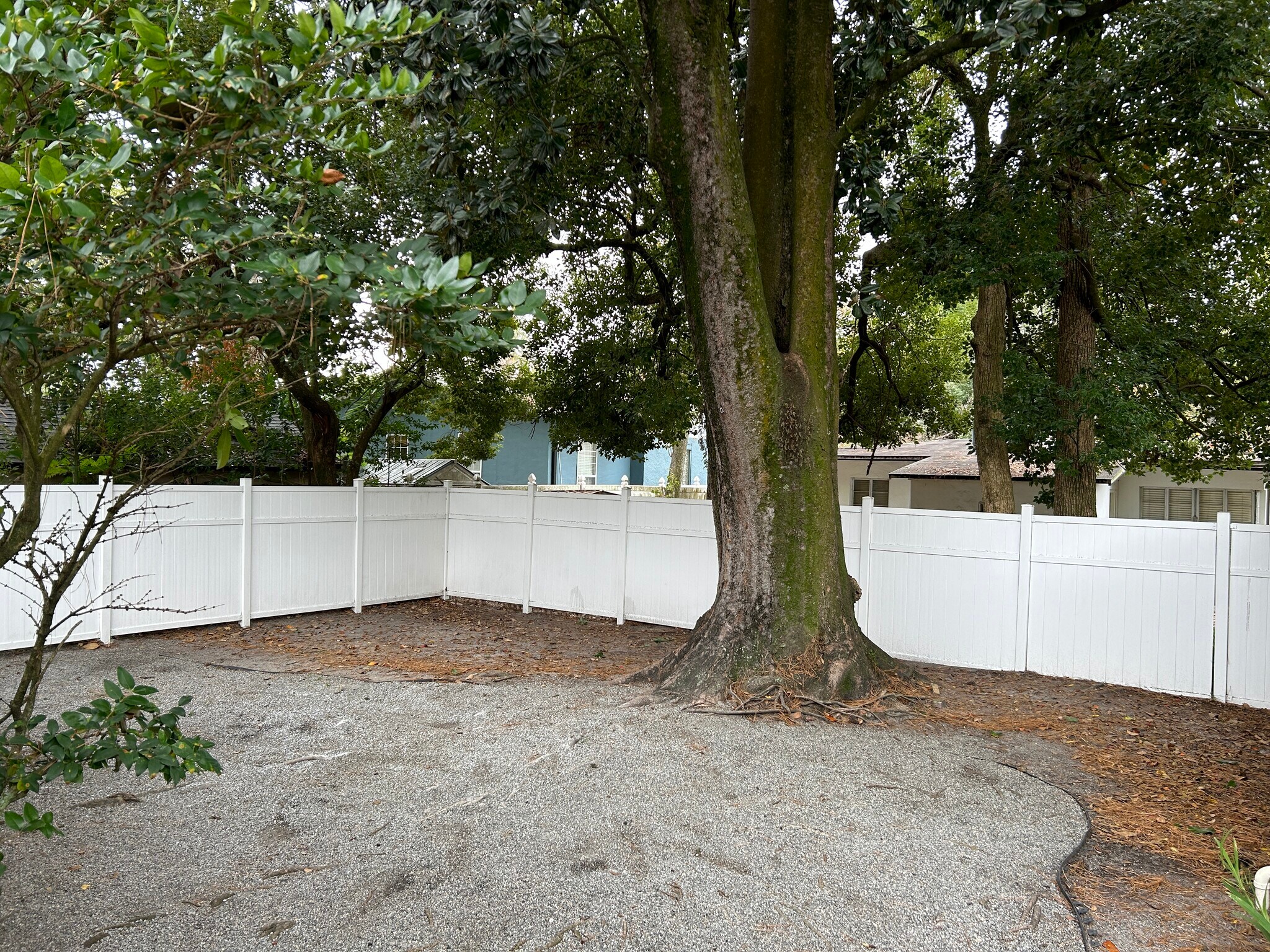 Building Photo - 2114 Arcadia Pl