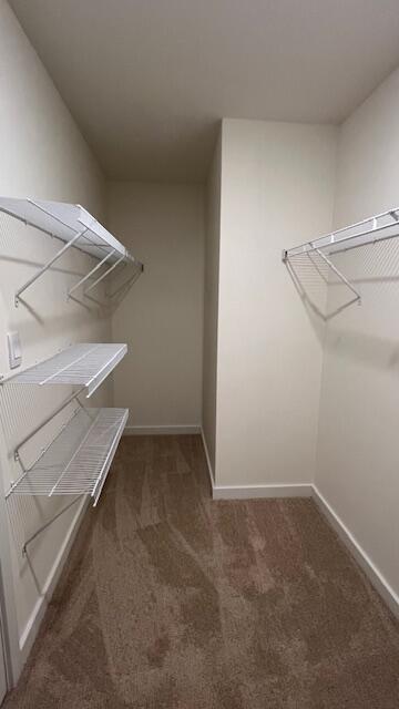 Building Photo - 4170 Lone Oak Cir