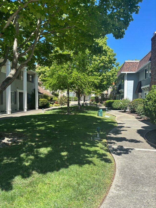 Building Photo - Bright & Airy 3-Bedroom Condo in Prime Moraga Location!