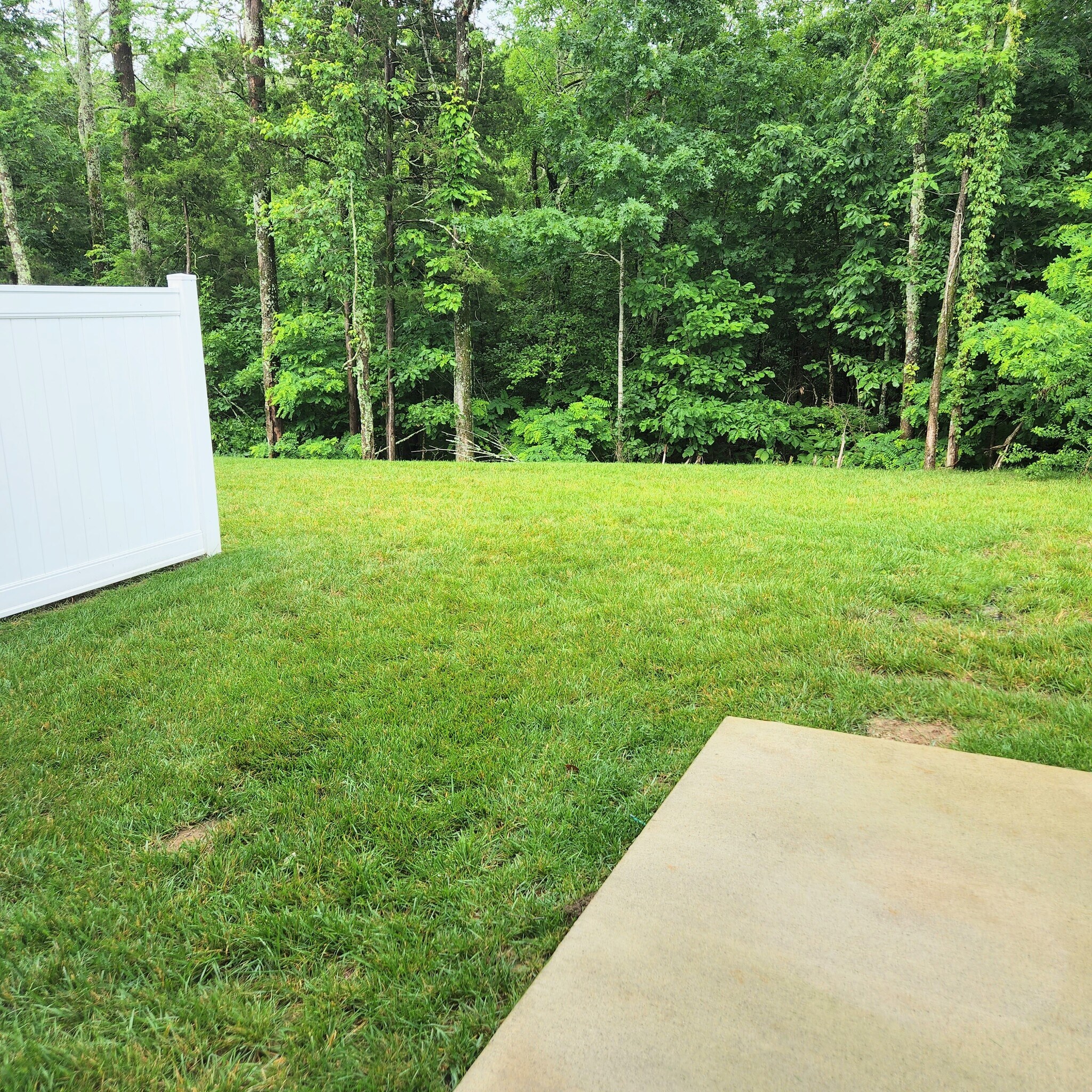 Building Photo - 6532 Wilford Ct