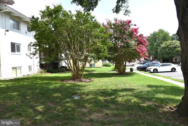 Building Photo - 11326 Cherry Hill Rd