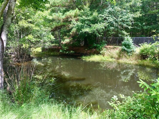 Building Photo - Country Living in Huger!