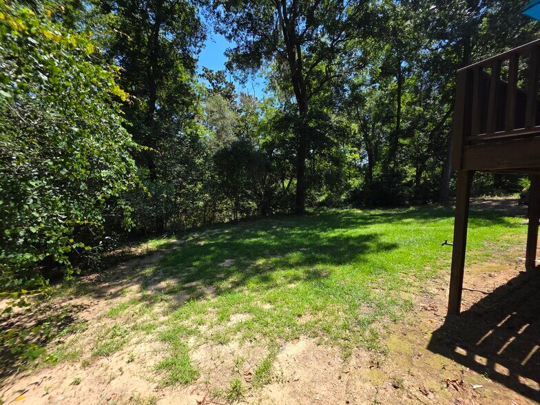 Backyard - 3664 Augusta Springs Dr