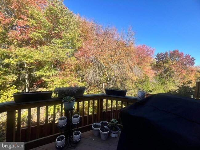 Building Photo - 7317 Hampton Manor Pl