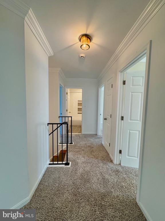 Building Photo - 12102 Snow Shoe Ct