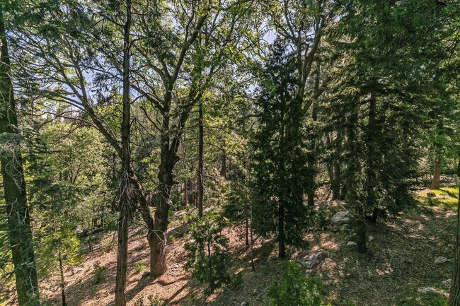 Building Photo - 27112 Sugar Pine Dr