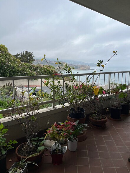 Stunning Abalone Cove outside your window - 32759 Seagate Dr