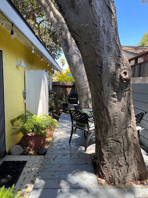 Building Photo - 225 Walnut St