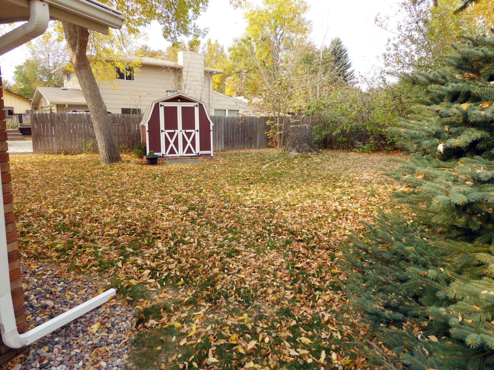 Building Photo - 331 Juniper Pl