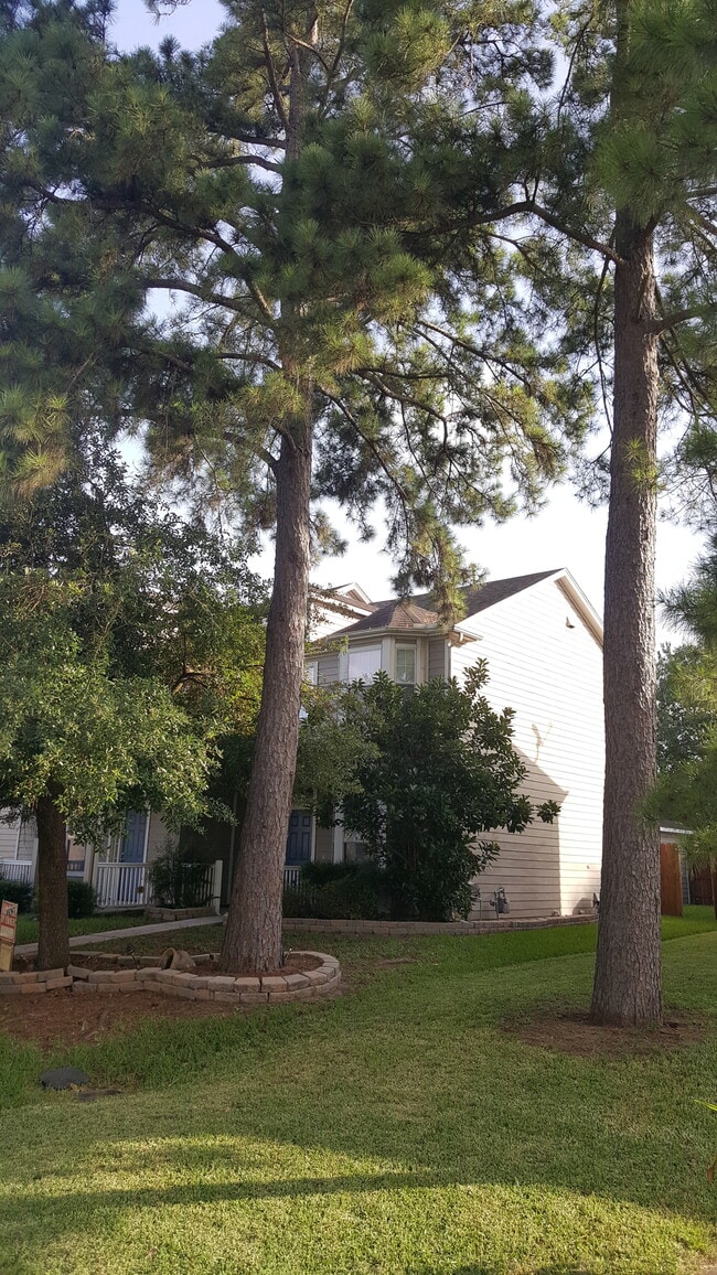 Friendly Neighbors, family atmospheres, children playground. Close to amenities &amp; expressways. - 23619 Twisting Falls Drive