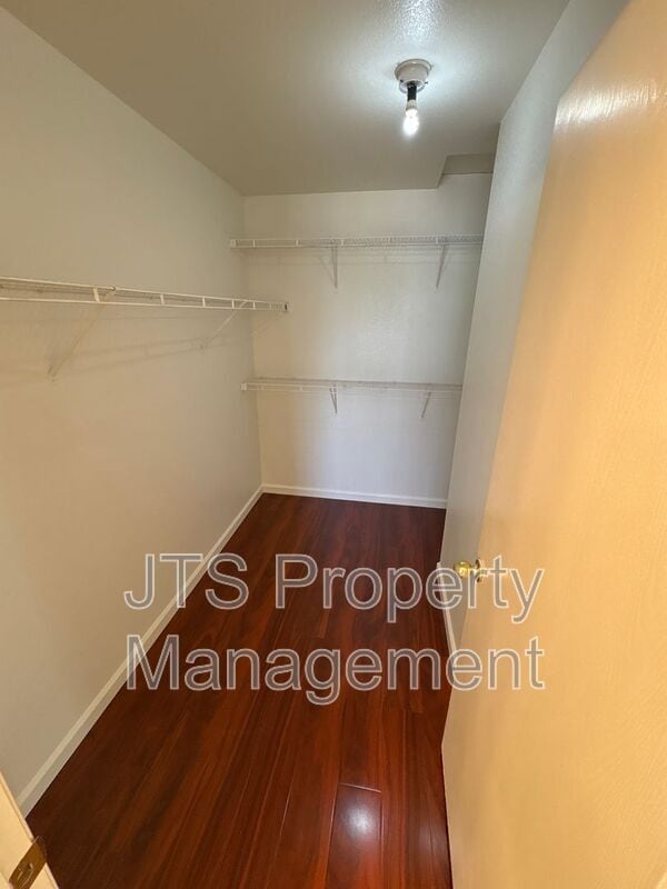 Building Photo - 3709 Lily Hill Ct