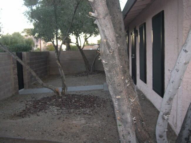 Building Photo - 4310 Caliente St