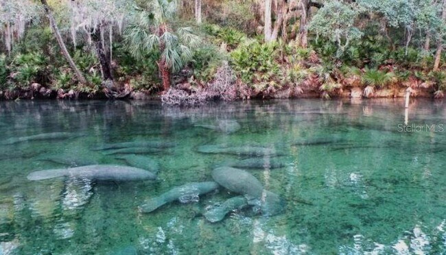 Building Photo - 124 Coronado Rd