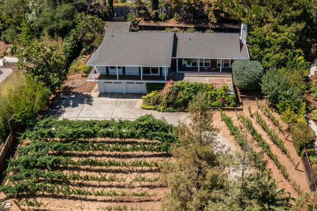 Building Photo - 920 Stagi Ct