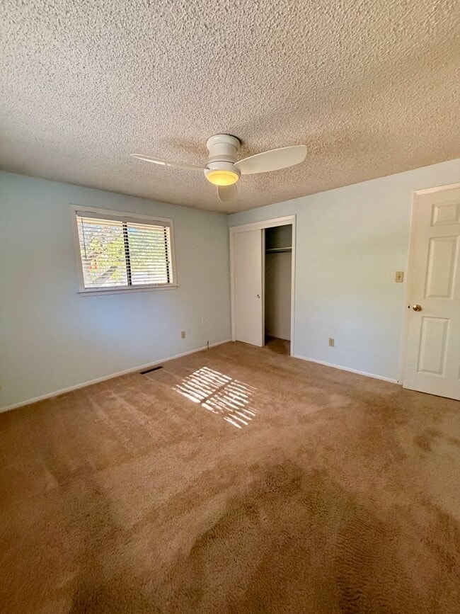 Building Photo - Amazing 3bed/2 bath with finished basement.