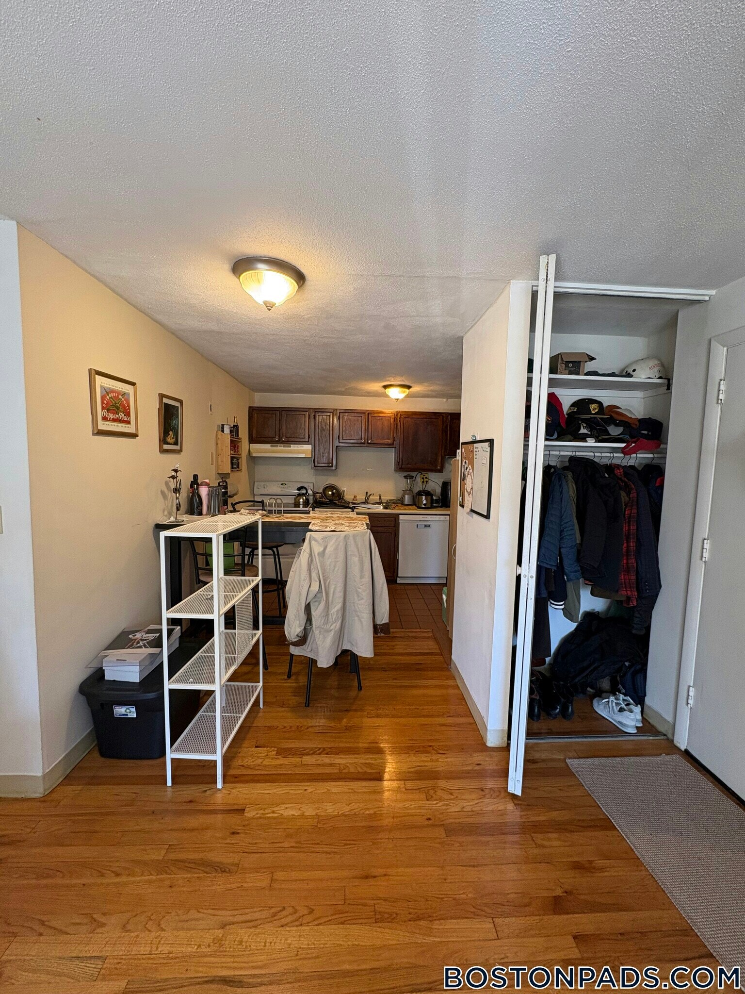 Building Photo - 245 Kelton St