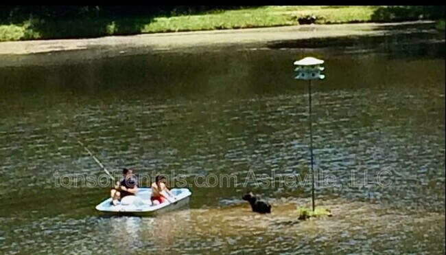 Building Photo - 4 Coma Lk Ln