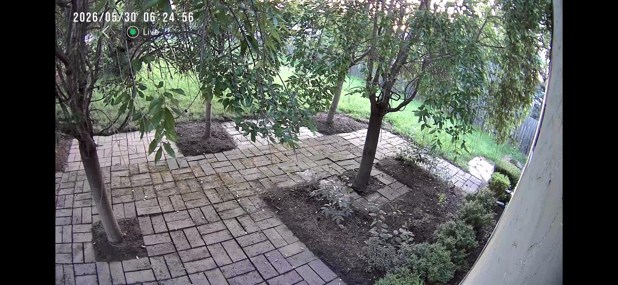 Patio - 1356 Acton Rd