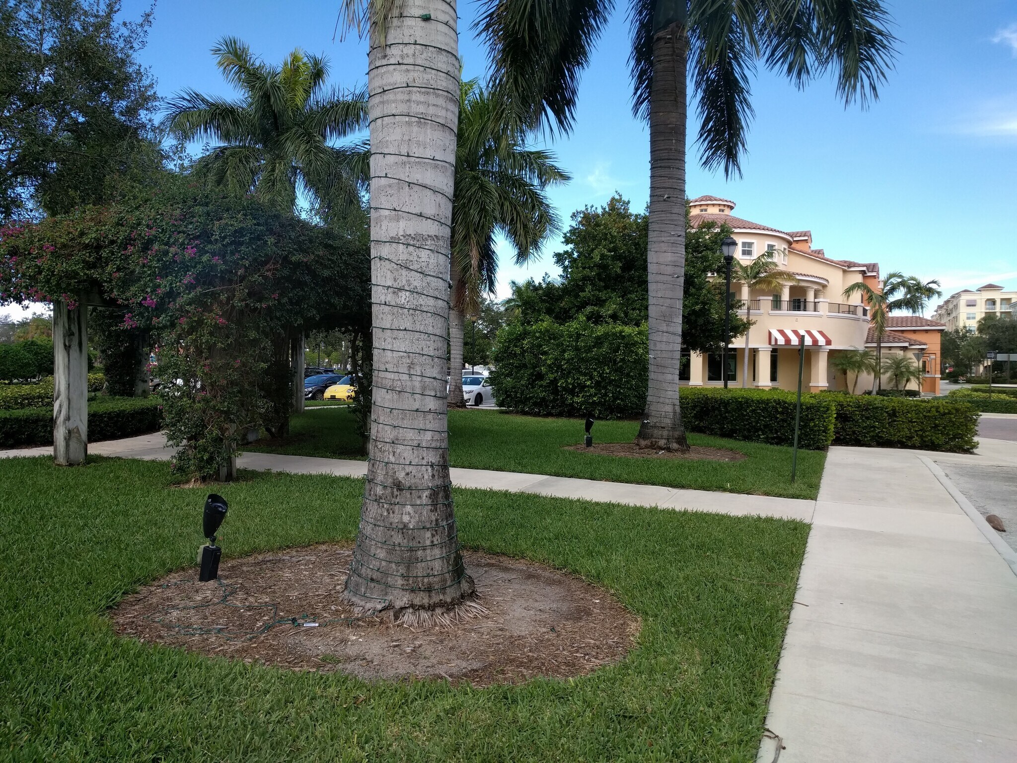 Building Photo - 3210 Renaissance Way