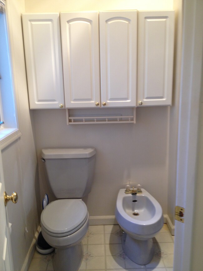 Bidet in Master bathroom with Bidet and walk in shower - 6245 Iron Bridges Rd