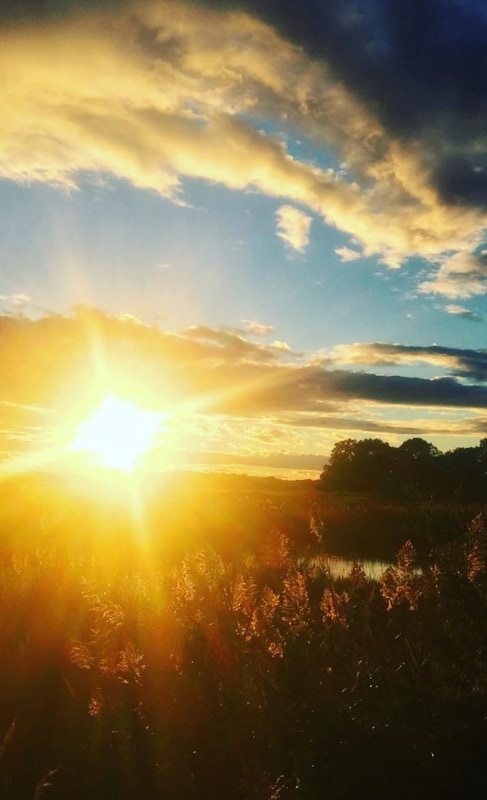 Building Photo - 69 Garnet Park Rd